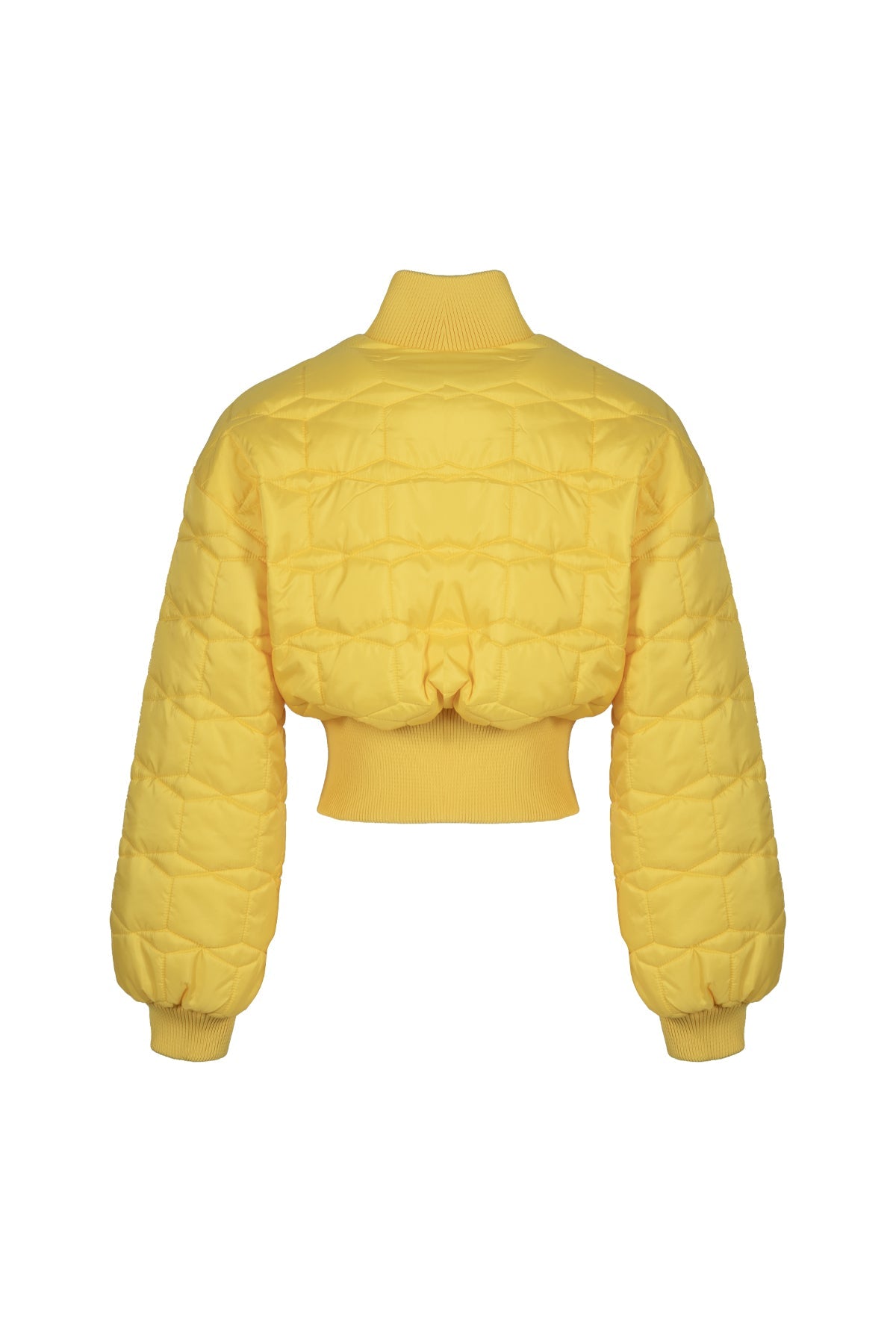 Giallo Bomber 16228